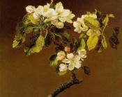 A Spray of Apple Blossoms - 马丁·约翰逊·赫德